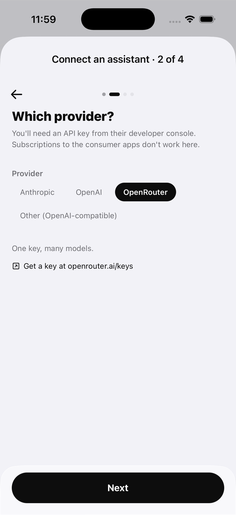 The provider step with Anthropic, OpenAI, OpenRouter and Other as choices.