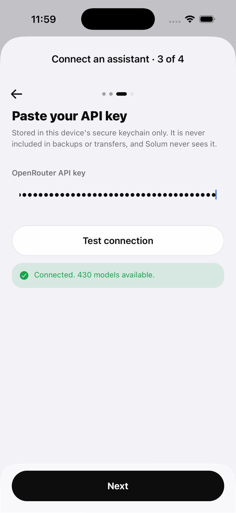 The API key step with the Test connection button and a successful result.